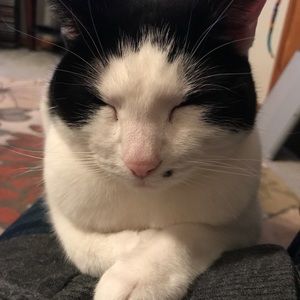 Meet your Posher, Connie